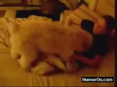 Flirty barely of legal age bitch receives wild with her dog during the time that her web camera streams anything live 